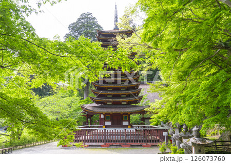 談山神社　新緑に包まれた十三重塔（神廟） 126073760