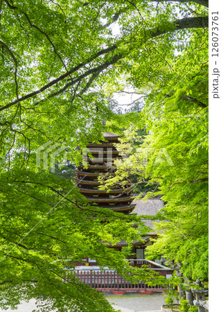 談山神社　新緑に包まれた十三重塔（神廟） 126073761