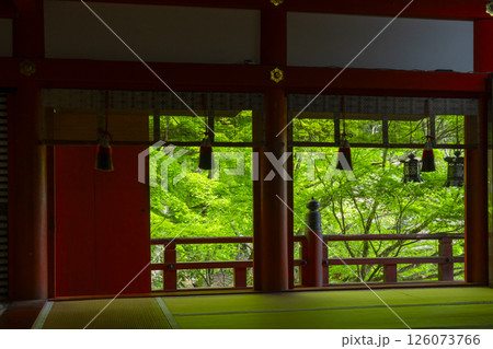 談山神社 拝殿から見える美しい新緑 談山神社 拝殿から見える美しい新緑 126073766
