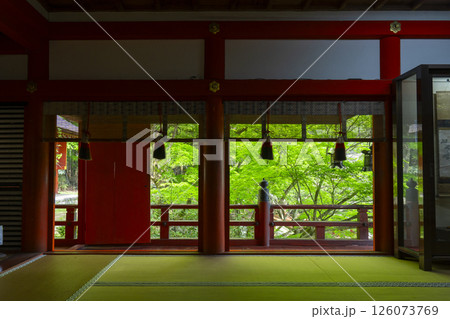 談山神社　拝殿から見える美しい新緑 126073769