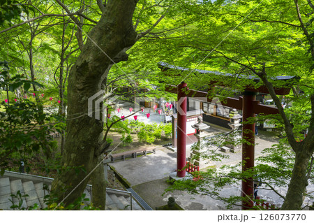 談山神社　新緑に包まれた境内鳥居 126073770