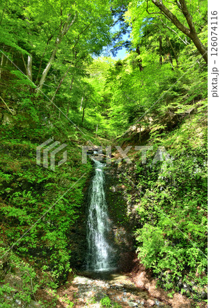 栃木県那須塩原市 新緑の塩原と仙髷の滝 栃木県那須塩原市 新緑の塩原と仙髷の滝 126074116