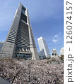 ランドマークタワーを背景に満開に咲くソメイヨシノ 126074157