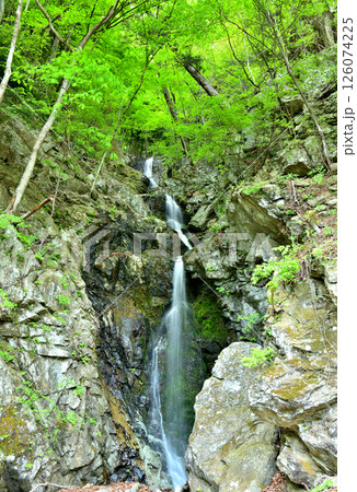 栃木県那須塩原市 新緑の塩原と猿臀の滝 栃木県那須塩原市 新緑の塩原と猿臀の滝 126074225