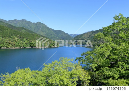 さめうら湖 新緑彩る (高知県 土佐町) さめうら湖 新緑彩る (高知県 土佐町) 126074396