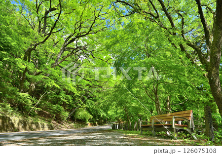 栃木県那須塩原市 塩原渓谷沿いに走る大正浪漫街道 栃木県那須塩原市 塩原渓谷沿いに走る大正浪漫街道 126075108