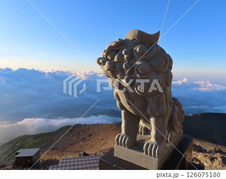 真夏の御嶽山(朝日に照らされる山頂の狛犬) 126075180
