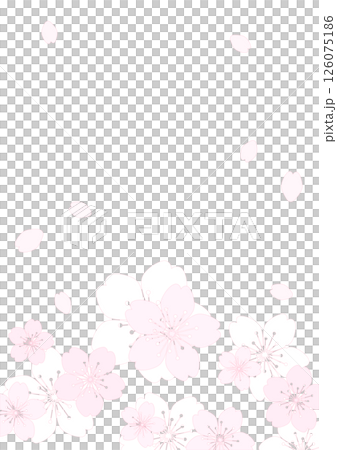 和柄の背景 126075186
