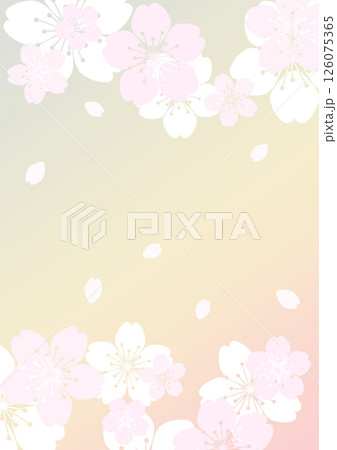 和柄の背景 126075365