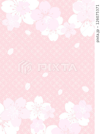 和柄の背景 126075371