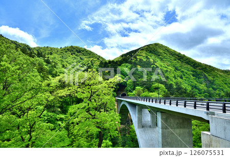栃木県那須塩原市　塩原温泉へと続く国道400号線と留春大橋 126075531