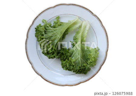 Lettuce salad leaf on white plate. The green background is blurred. Close-up. 126075988