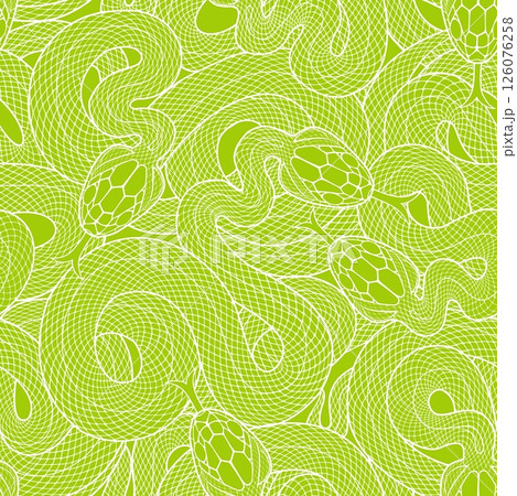 Seamless graphic wallpaper with snakes. Endless linear ornament with reptiles. Seamless graphic wallpaper with snakes. Endless linear ornament with reptiles. 126076258