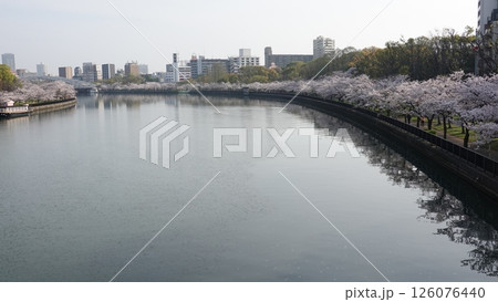 水面に映る桜並木 126076440