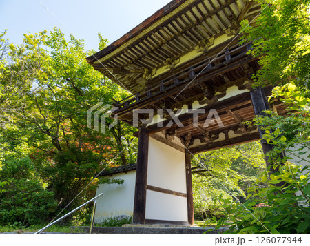 【奈良県】天理市 長岳寺 (2025/05/13撮影) 126077944