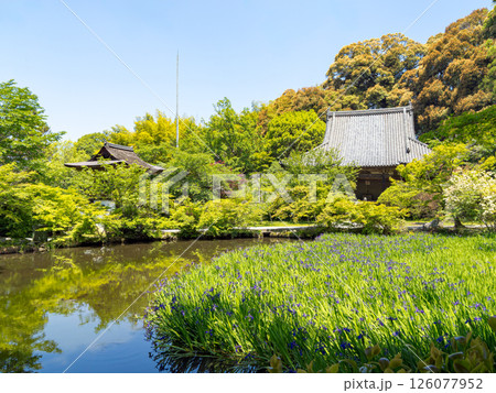 【奈良県】天理市 長岳寺 (2025/05/13撮影) 【奈良県】天理市 長岳寺 (2025/05/13撮影) 126077952