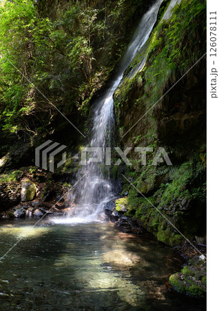 琵琶の滝、徳島県三好市西祖谷山村 126078111