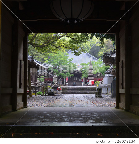 四国八十八箇所の第二十四番札所、最御崎寺(ほつみさきじ) 四国八十八箇所の第二十四番札所、最御崎寺(ほつみさきじ) 126078134