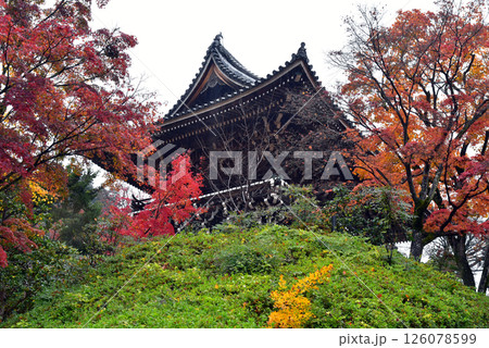 紅葉に包まれる善峯寺の山門 紅葉に包まれる善峯寺の山門 126078599