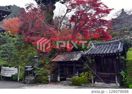 紅葉に包まれた善峯寺 紅葉に包まれた善峯寺 126078686