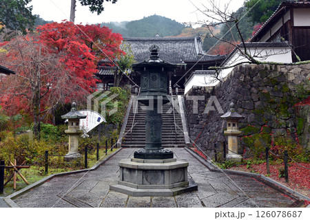 紅葉に包まれた善峯寺 126078687