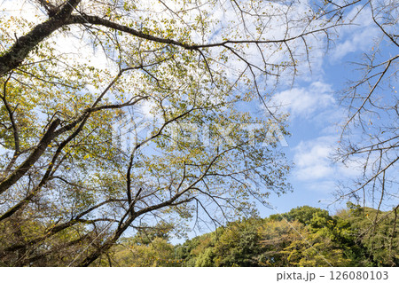 秋晴れの筑波山 筑波山神社駐車場から見た景色 秋晴れの筑波山 筑波山神社駐車場から見た景色 126080103