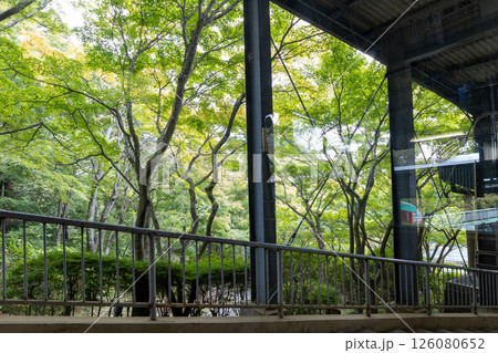 秋の筑波山神社 ケーブルカー乗り場からの景色 秋の筑波山神社 ケーブルカー乗り場からの景色 126080652