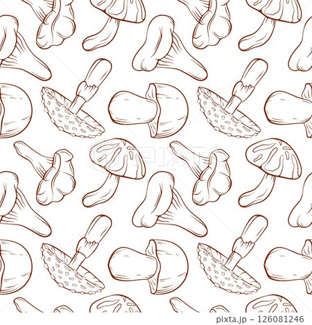 Seamless pattern of line art style mushroom fly agaric, Boletus, Chanterelle, Niscalo, Shiitake on a white background. Ideal for food packaging, textile, print and organic design. Seamless pattern of line art style mushroom fly agaric, Boletus, Chanterelle, Niscalo, Shiitake on a white background. Ideal for food packaging, textile, print and organic design. 126081246