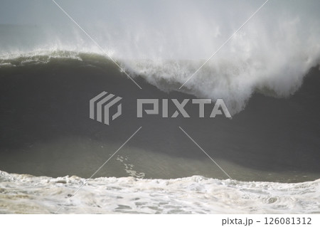 桂浜に打ち寄せる波 126081312