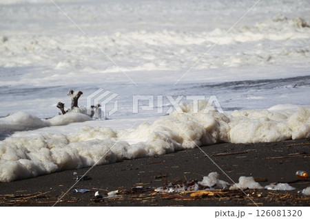 桂浜に打ち寄せる波 桂浜に打ち寄せる波 126081320