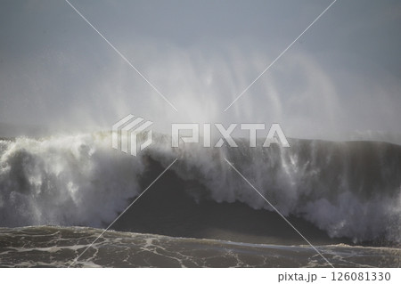 桂浜に打ち寄せる波 126081330