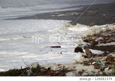 桂浜に打ち寄せる波 126081374