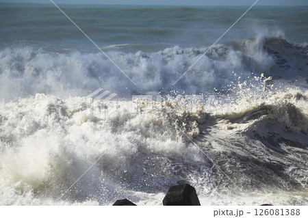 桂浜に打ち寄せる波 桂浜に打ち寄せる波 126081388