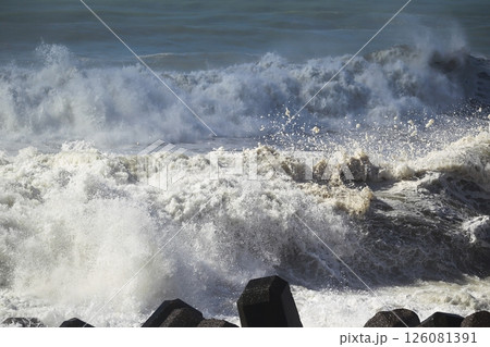 桂浜に打ち寄せる波 桂浜に打ち寄せる波 126081391