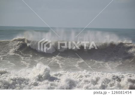 桂浜に打ち寄せる波 桂浜に打ち寄せる波 126081454