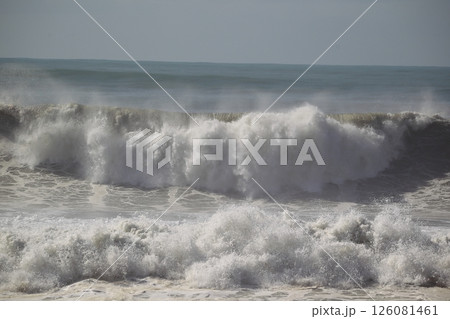 桂浜に打ち寄せる波 126081461