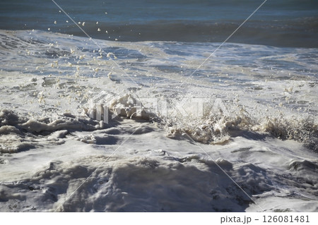 桂浜に打ち寄せる波 桂浜に打ち寄せる波 126081481