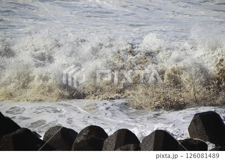 桂浜に打ち寄せる波 126081489