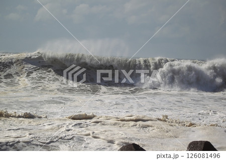 桂浜に打ち寄せる波 126081496