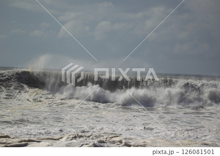 桂浜に打ち寄せる波 桂浜に打ち寄せる波 126081501