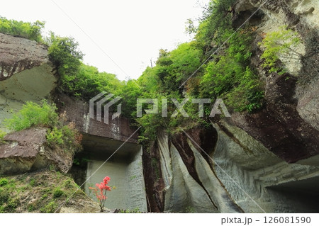大谷資料館の愛の泉 126081590