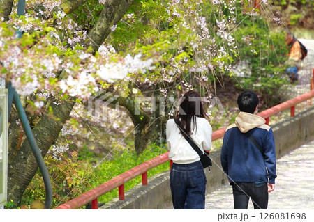 桜並木を歩くカップル 桜並木を歩くカップル 126081698
