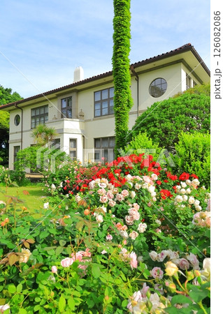 バラが満開の港の見える丘公園 126082086