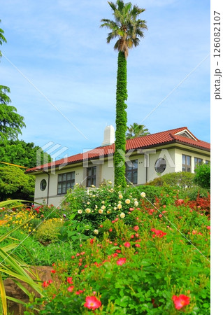 バラが満開の港の見える丘公園 126082107