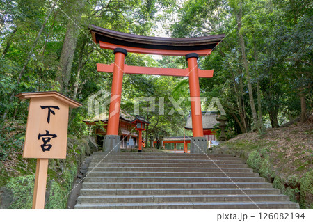 宇佐神宮　下宮鳥居の風景 126082194