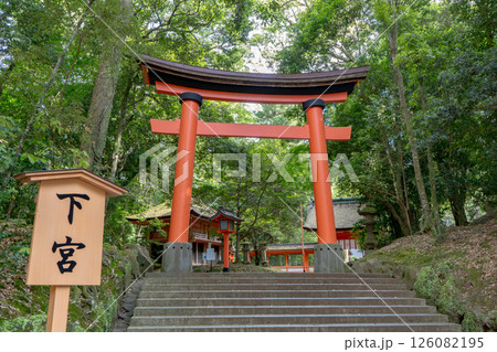 宇佐神宮　下宮鳥居の風景 126082195