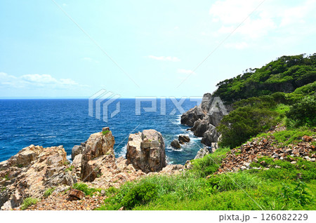 屋久島のクリスタル岬 126082229