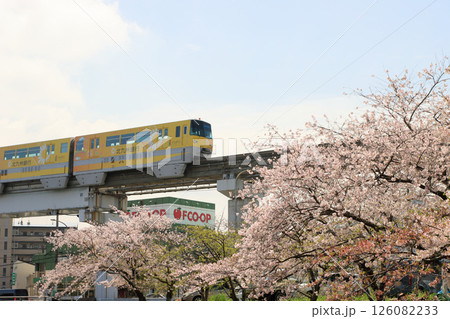 モノレールと桜 126082233