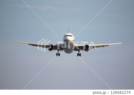 飛行機の着陸 126082274