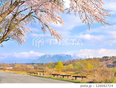 栃木県那須塩原市　満開の桜と那須岳の風景 126082724